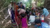 ကျွန်းလှမှာ စစ်တပ်ရဲ့ နယ်မြေရှင်းလင်းရေးကြောင့် ဒေသခံနှစ်သောင်းနီးပါး နေရပ်မပြန်နိုင်သေး