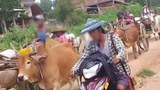 မကွေးနဲ့ ကယားမှာ ဒေသခံ ခြောက်သောင်းနီးပါး ထပ်မံထွက်ပြေးရ