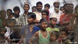 rohingya-border-622.jpg
