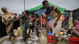 rohingya-refugees-622.jpg