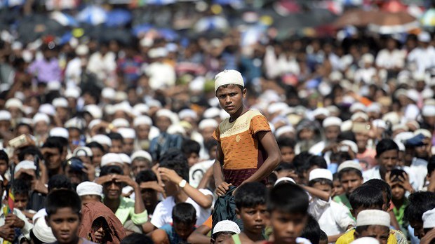 rohingya1-622.jpg
