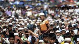 rohingya1-622.jpg