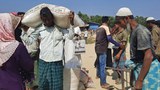 ရိုဟင်ဂျာဒုက္ခသည်တွေအတွက် အမေရိကန်က ဒေါ်လာ ၁၁၆ သန်း ကူညီမည်