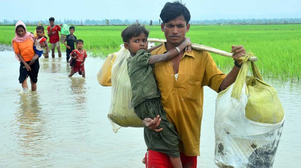 rohingya-refugees-622.jpg rohingya-refugees-622.jpg