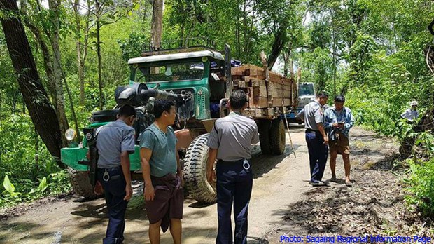 sagaing-logging-622.jpg sagaing-logging-622.jpg