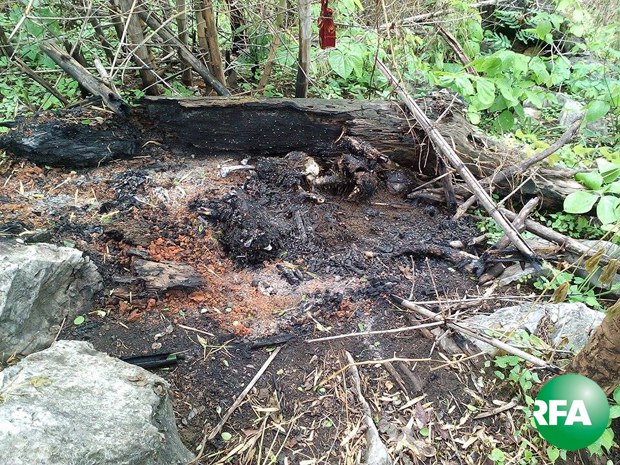 fire-corpse-620.jpg fire-corpse-620.jpg
