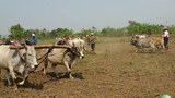 sintkuu-farmers-620.jpg
