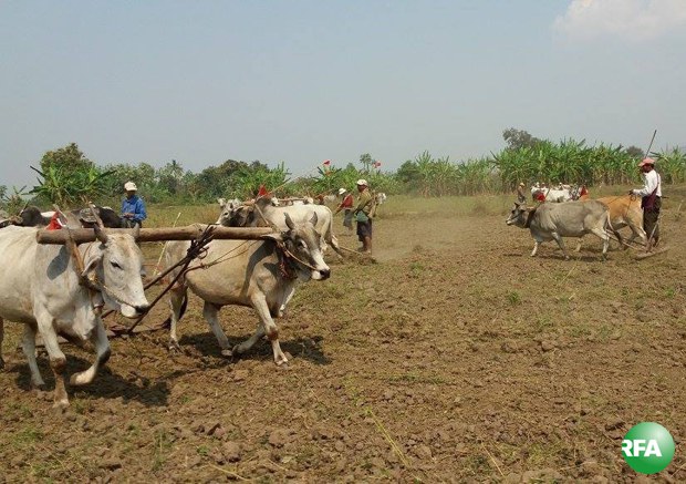 sintkuu-farmers-620.jpg sintkuu-farmers-620.jpg