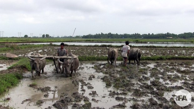 farmers-622.jpg