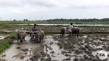 farmers-622.jpg