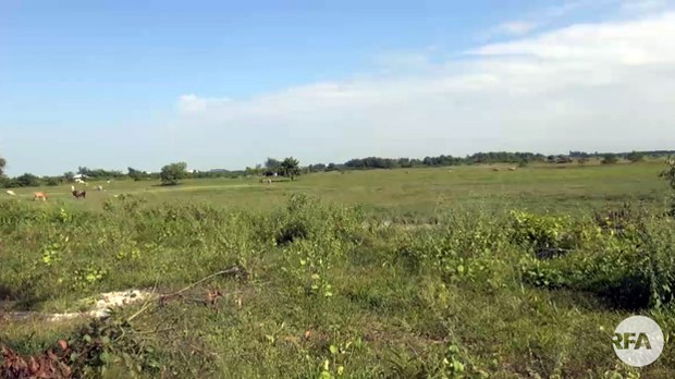 land-622.jpg