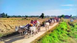 တန့်ဆည်မှာ စစ်ကြောင်းဝင်လာလို့ ၁၉ ရွာက ဒေသခံတစ်သောင်းခန့် ထွက်ပြေးရ