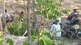 စစ်ကောင်စီတပ်တွေ ဝင်ရောက်ဖမ်းဆီးလို့ ဒေသခံ ၅၀၀၀ လောက် ထွက်ပြေးနေရ