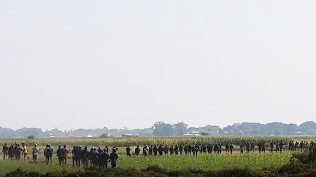 ရေစကြိုမြို့နယ် ဆင်တဲရွာတိုက်ပွဲ စစ်တပ်ဘက်က ၁၀ ယောက် သေဆုံး ရေစကြိုမြို့နယ် ဆင်တဲရွာတိုက်ပွဲ စစ်တပ်ဘက်က ၁၀ ယောက် သေဆုံး