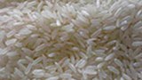 myanmar-rice-305