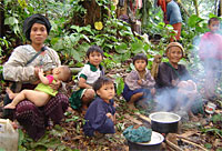 IDPs_in_jungle_200px.jpg IDPs_in_jungle_200px.jpg