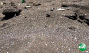 black_sand_305