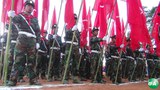 tnla-620.jpg