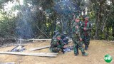 tnla-620.jpg