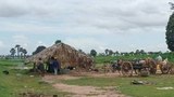 ဝက်လက်မြို့နယ် နတ်ကုန်းတောင်ရွာ စီးနင်းခံရပြီး ရွာသားနှစ်ဦးအသတ်ခံရ