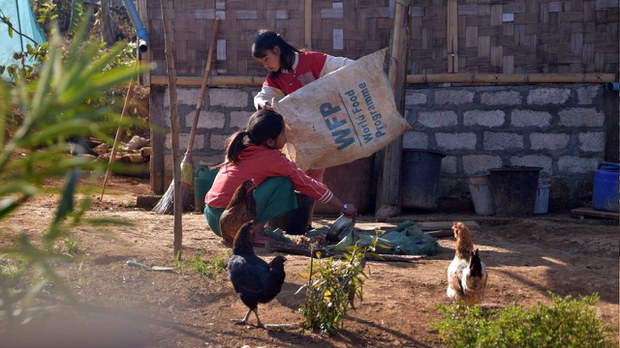 အိမ်ထောင်စု ၄၆,၀၀၀ ကျော်အတွက် WFP နဲ့ LIFT ငွေကြေးကူညီ အိမ်ထောင်စု ၄၆,၀၀၀ ကျော်အတွက် WFP နဲ့ LIFT ငွေကြေးကူညီ