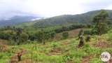 land-622.jpg