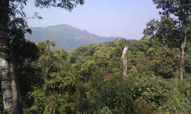 kaeng-krachan-nation-park-620.jpg kaeng-krachan-nation-park-620.jpg