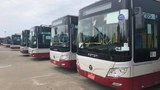 ybs-20-622.jpg