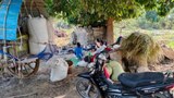 ရေဦးနဲ့ ဒီပဲယင်းမှာ စစ်ကြောင်းဝင်လာလို့ ဒေသခံ ငါးထောင်နီးပါး နေရပ်စွန့်ခွာထွက်ပြေးရ