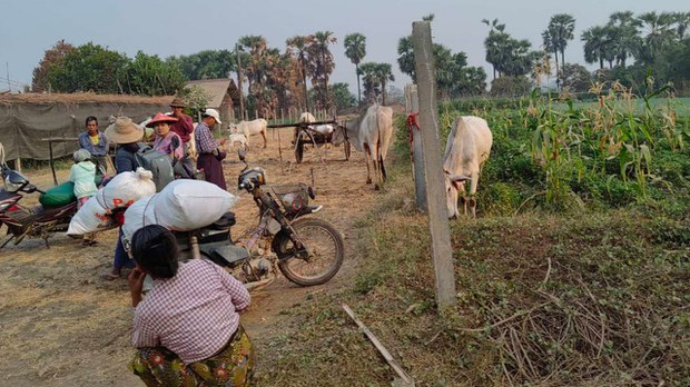 စစ်ကြောင်းထိုးလို့ ယင်းမာပင်နဲ့ဆားလင်းကြီးက ဒေသခံ ၅၀၀၀ ဝန်းကျင်ထွက်ပြေး စစ်ကြောင်းထိုးလို့ ယင်းမာပင်နဲ့ဆားလင်းကြီးက ဒေသခံ ၅၀၀၀ ဝန်းကျင်ထွက်ပြေး