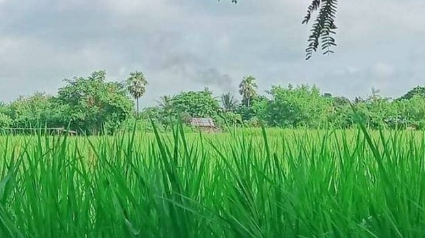 ခင်ဦးမြို့နယ် ယောက်သွားအိုင်ရွာက လူငယ် တစ်ဦး သေနတ်နဲ့ ပစ်သတ်ခံရ