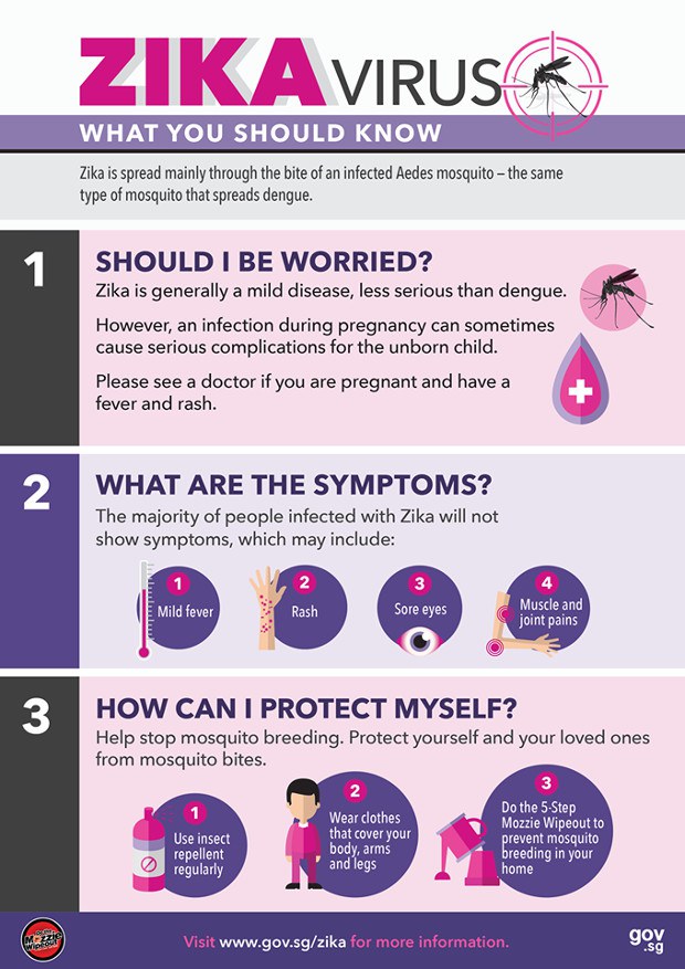 zika-virus-620.jpg zika-virus-620.jpg