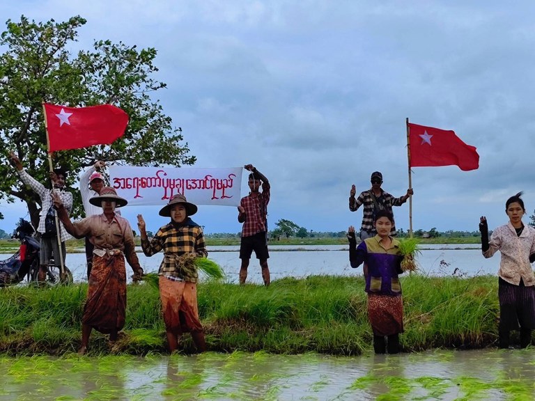 စစ်ကိုင်းတိုင်း ခင်ဦးမြို့နယ်မှာ ရှစ်လေးလုံး အရေးတော်ပုံနေ့ အထိမ်းအမှတ်အဖြစ် ၂၀၂၃ ခုနှစ် ဩဂုတ်လ ၈ ရက်နေ့က တောင်သူလယ်သမားတချို့ ကောက်စိုက်၊ ပျိုးနုတ်ရင်း ဆန္ဒပြခဲ့စဉ်။ (ဓာတ်ပုံ - ကိုလူချော)