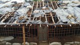 kutupalong-amphan-622.jpg