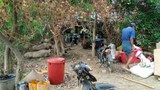 ထီးချိုင့်မှာ တိုက်ပွဲ ဆက်ပြင်းထန်နေပြီး ထွက်ပြေးရတဲ့ ဒေသခံ သုံးသောင်းနီးပါးရှိလာ