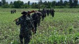 တိုင်းရင်းသားနယ်တွေမှာ တိုက်ပွဲတွေပိုများလာ