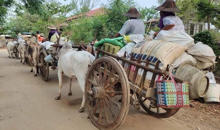 စစ်ကိုင်းတိုင်း၊ ရေဦးမြို့နယ်မှ စစ်ဘေးဒုက္ခသည်များအား ၂၀၂၃ ခုနှစ် မေလ ၁ ရက်နေ့က တွေ့ရစဉ်။ (Photo : Citizen Journalist)