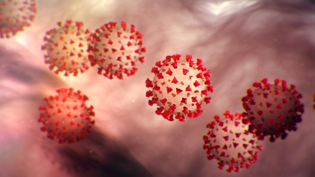 coronavirus-cdc-622