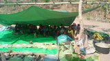 တိုက်ပွဲကြောင့် ချင်းပြည်နယ်မှာ တစ်လအတွင်း အရပ်သား ရှစ်ဦးသေ၊ ၁၂ ဦးဒဏ်ရာရ