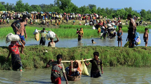 rohingya-flee-622.jpg rohingya-flee-622.jpg