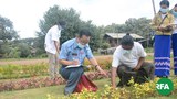kayah-park-622.jpg