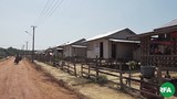 swar-house-622.jpg
