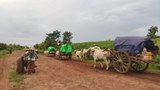 နိုင်ငံစုံညွန့်ပေါင်းဖွဲ့ပြီး မြန်မာပြည်သူတွေကိုကူညီဖို့ လူ့အခွင့်အရေးအထူးကိုယ်စားလှယ်တိုက်တွန်း