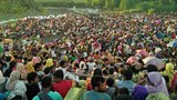 bengali-flee-622.jpg