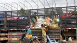 လိုင်ဇာအနီးတိုက်ပွဲကြောင့် ဒေသခံတစ်ထောင်ကျော် ထွက်ပြေး