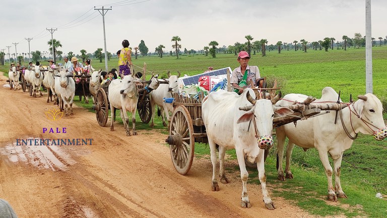 စစ်ကိုင်းတိုင်း၊ ပုလဲမြို့နယ်မှ စစ်ဘေးဒုက္ခသည်များအား ၂၀၂၃ ခုနှစ်၊ ဇွန်လ ၁၁ ရက်နေ့က တွေ့ရစဉ်။ (Photo: Pale Entertainment)