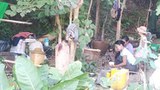 မကွေးတိုင်း စစ်ဘေးဒုက္ခသည်တွေ အကူအညီလိုအပ်နေ