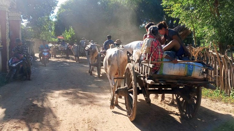 တိုက်ပွဲများကြောင့် ထွက်ပြေးတိမ်းရှောင်နေကြသည့် ပုလဲဒေသခံများကို ၂၀၂၄ ခုနှစ်၊ နိုဝင်ဘာလ ၁၄ ရက်နေ့က တွေ့ရစဥ်။ (Facebook/ ပုလဲမြို့နယ် ပြည်သူ့အုပ်ချုပ်ရေးအဖွဲ့)