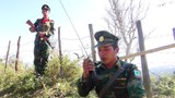 TNLA ဌာနချုပ်အနီးကို စစ်ကောင်စီတပ် ထိုးစစ်ဆင်