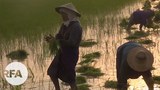 farmers-622.jpg